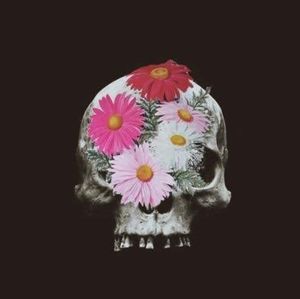 Meet your Posher, Jeffrey